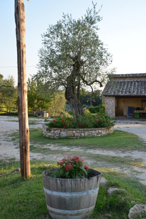 Agriturismo Podere Dell' Olmo Amelia Exterior foto